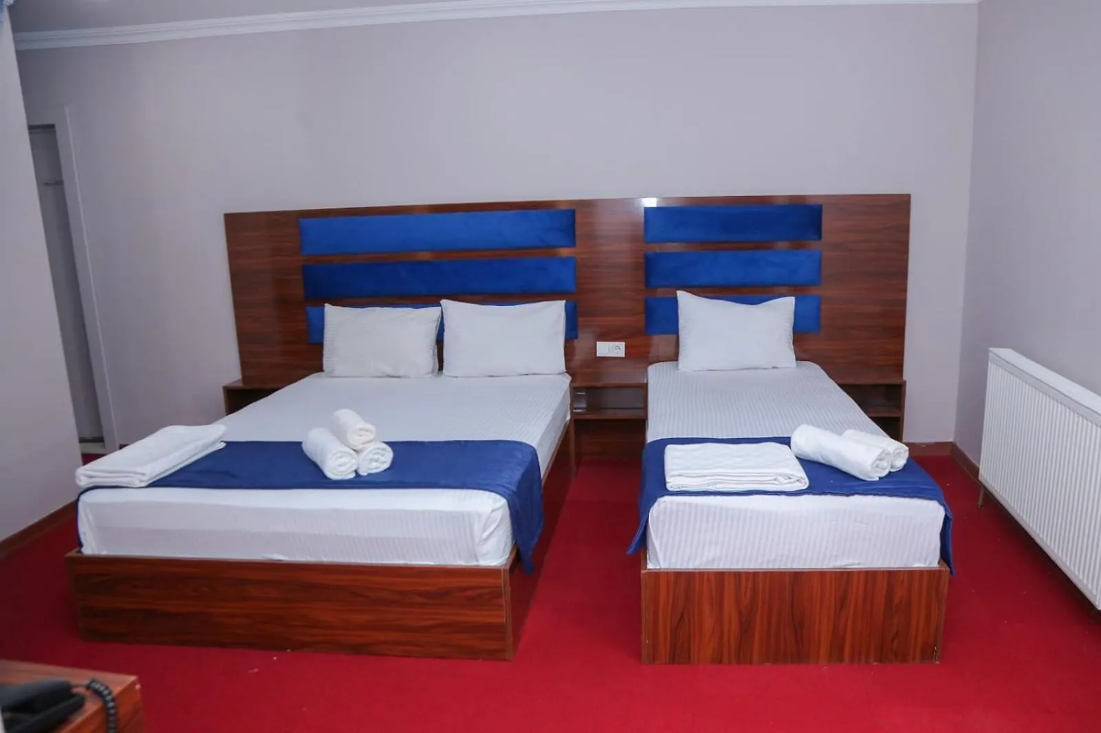 Lion King Hotel Istanbul Tyrkiet